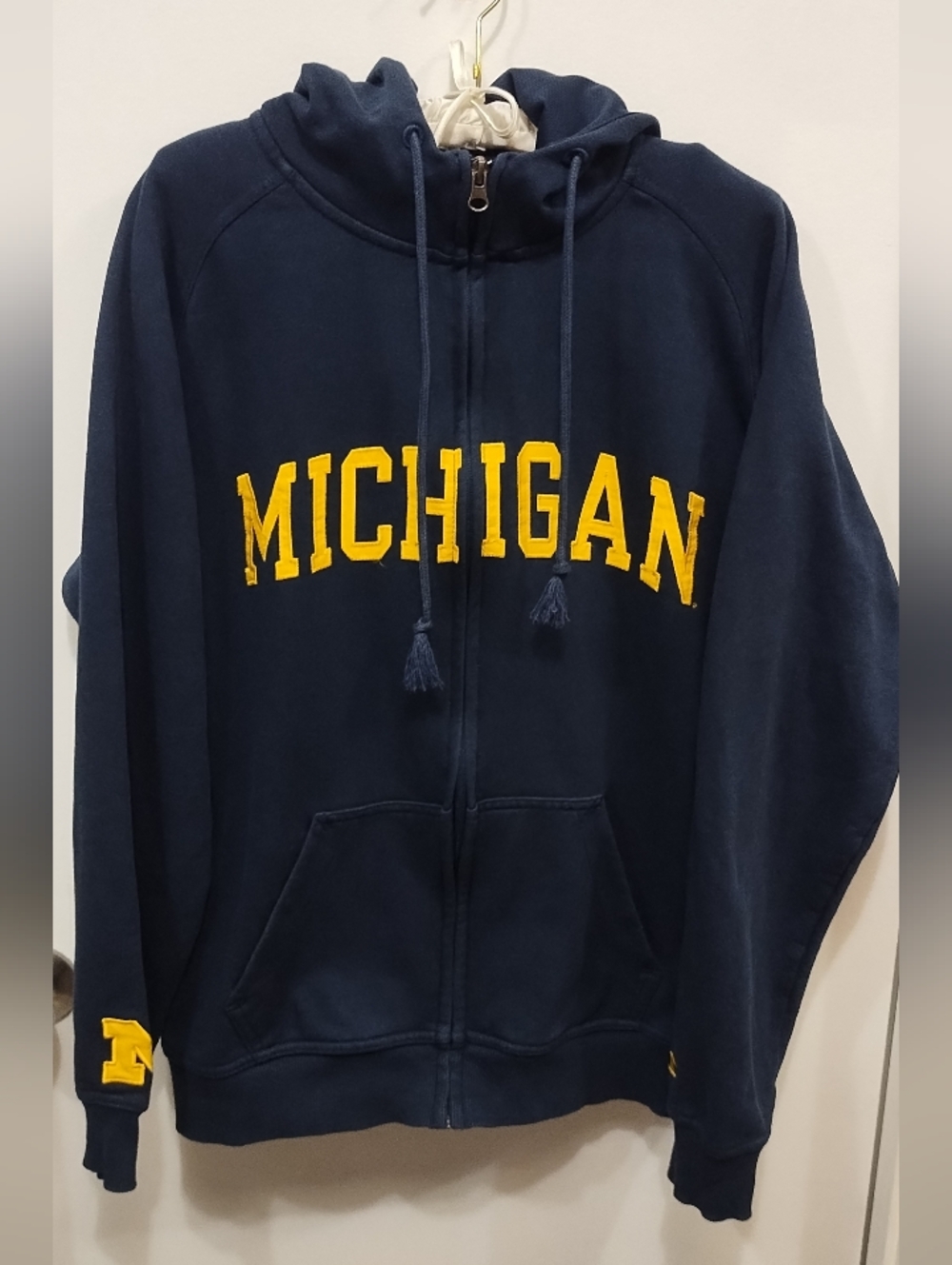Y2K Champion Michigan University Hoody Sweatshirt (#D-44)